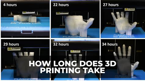 How Long Does a 3D Printer Take to Print: And Why Do Cats Always Sit on the Print Bed?